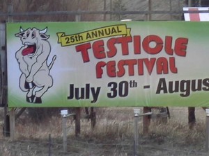 testiclefestivaltrailerdamage003